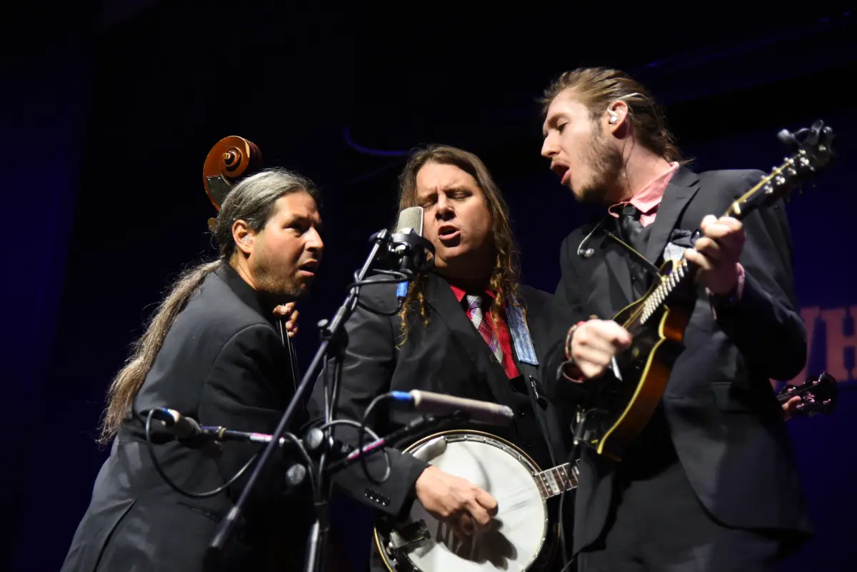 Henhouse Prowlers tour Europe in February and March
